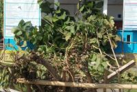 Kantor Desa Akejailolo saat dipalang oleh warga