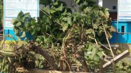 Kantor Desa Akejailolo saat dipalang oleh warga