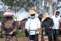 Tampak suasana kegiatan penanaman Bibit Jagung dan Pisang oleh Gubernur Malut, Bupati Halbar dan Kepala Dinas Pertanian Halbar (Foto/Erdit)