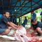Suasana penyembelihan hewan qurban di halaman Kantor kemenag halbar
