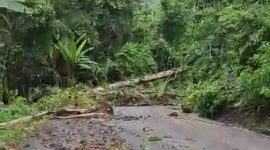 Tampak Material Longsor yang menutupi badan jalan Goin-Kedi (Dok/terasmalut)