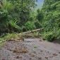 Tampak Material Longsor yang menutupi badan jalan Goin-Kedi (Dok/terasmalut)