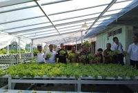 Foto Istimewa (dok/haryadi)