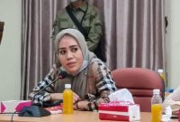 Ketua DPD I Partai Golkar Maluku Utara, Alien Mus