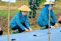 Tampak Ketua TP-PKK Halbar Meri Popala Uang bersama Ketua TP-PKK Malut, Darmawati Samsuddin saat melakukan penanaman pohon rica 