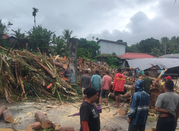 Gelondongan kayu yang terseret oleh Banjir Bandang di Kecamatan Ibu (07/01/26)