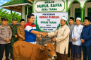 Ilustrasi penyerahan bantuan Hewan Qurban Idul Adha 1447 Hijriah kepada Masjid Nurul Saffa Desa Tuada 
