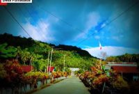 Desa Pumadada (Dok/Ist)